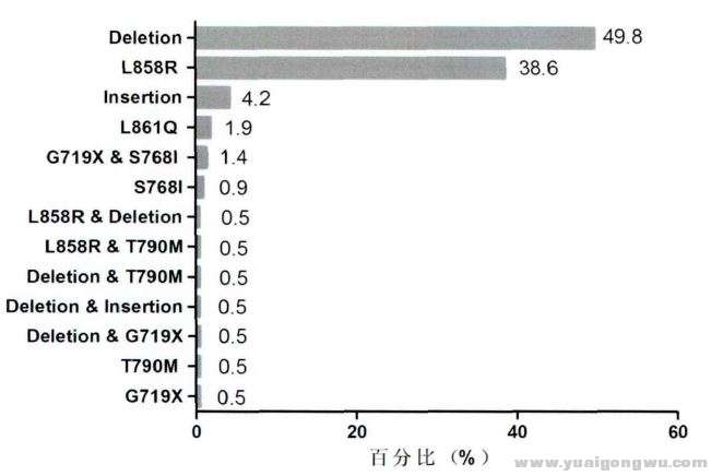 突变类型比例分布