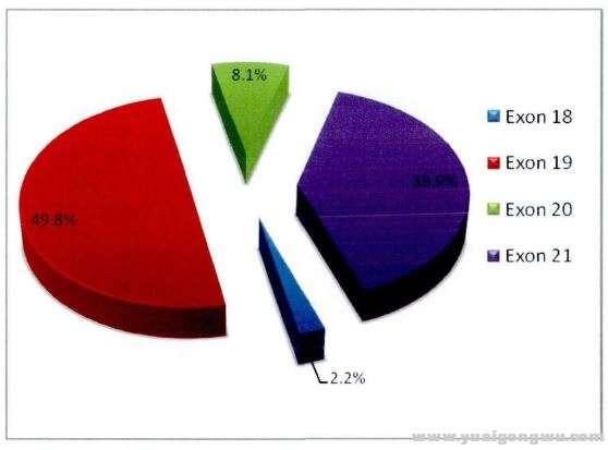 突变类型中，各外显子的突变比例