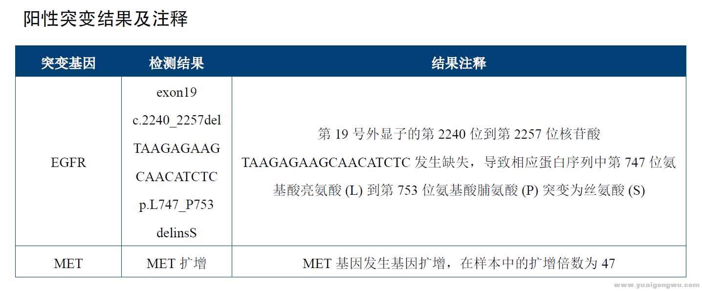 基因检测结果