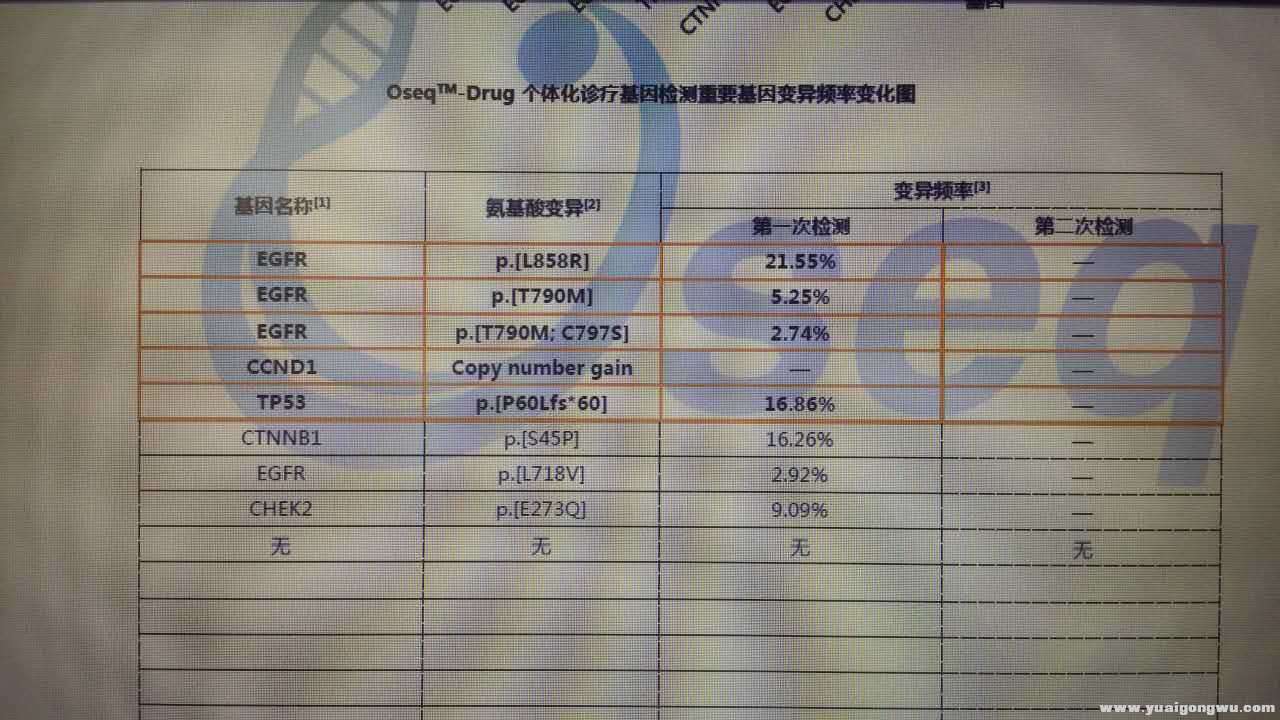 基因检测结果