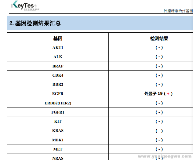 检测结果