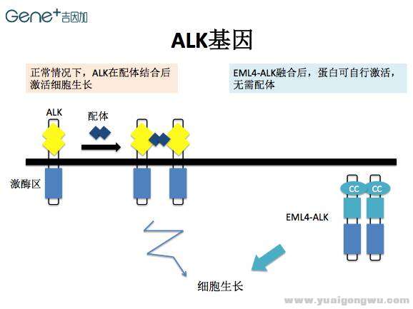 微信图片_20170702082434.jpg