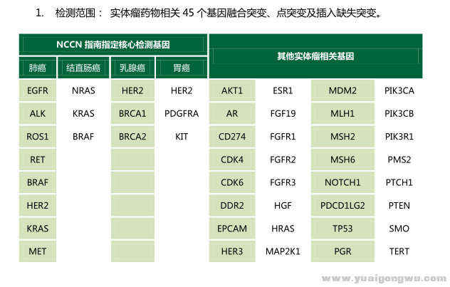 基因检测2.png