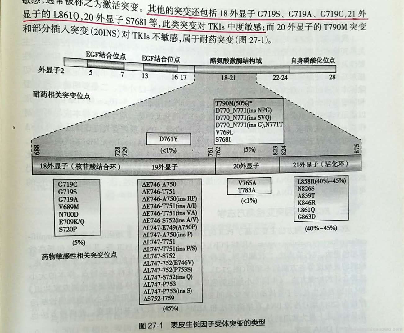 微信图片_20180525203918.jpg