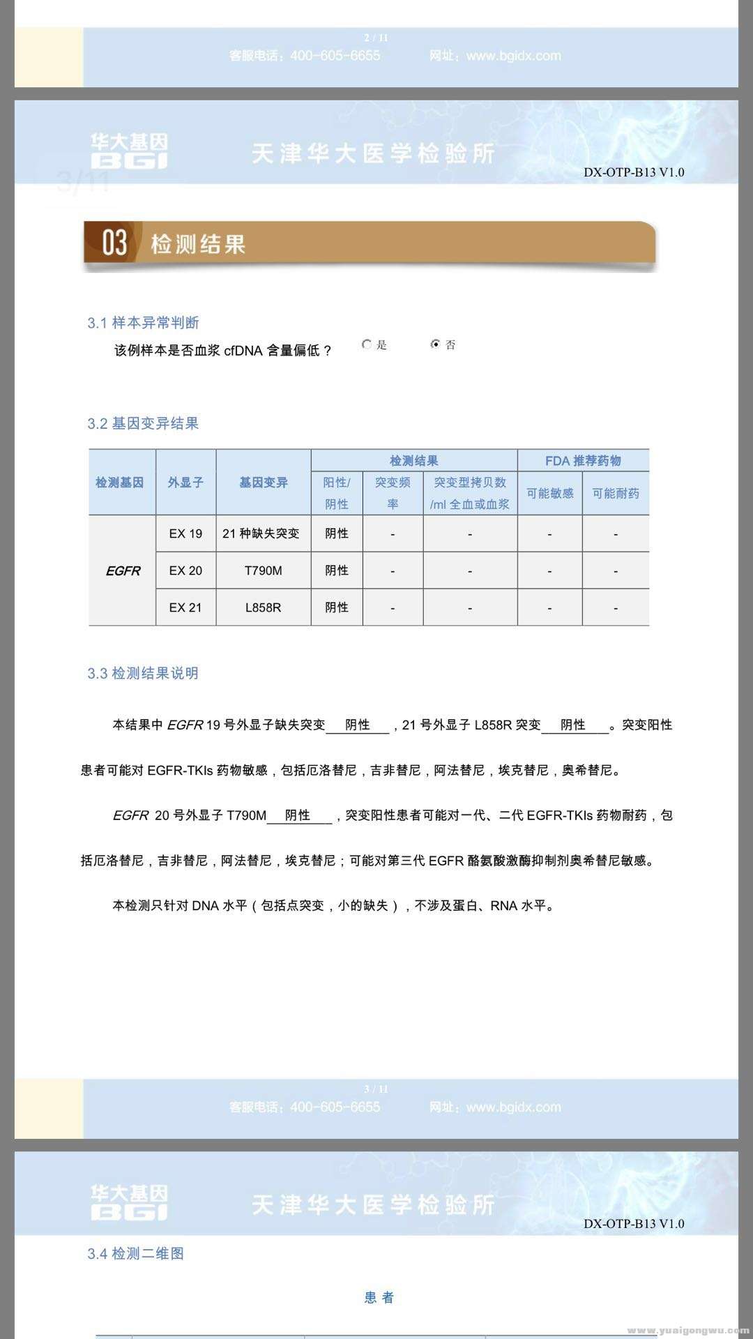 基因检测报告