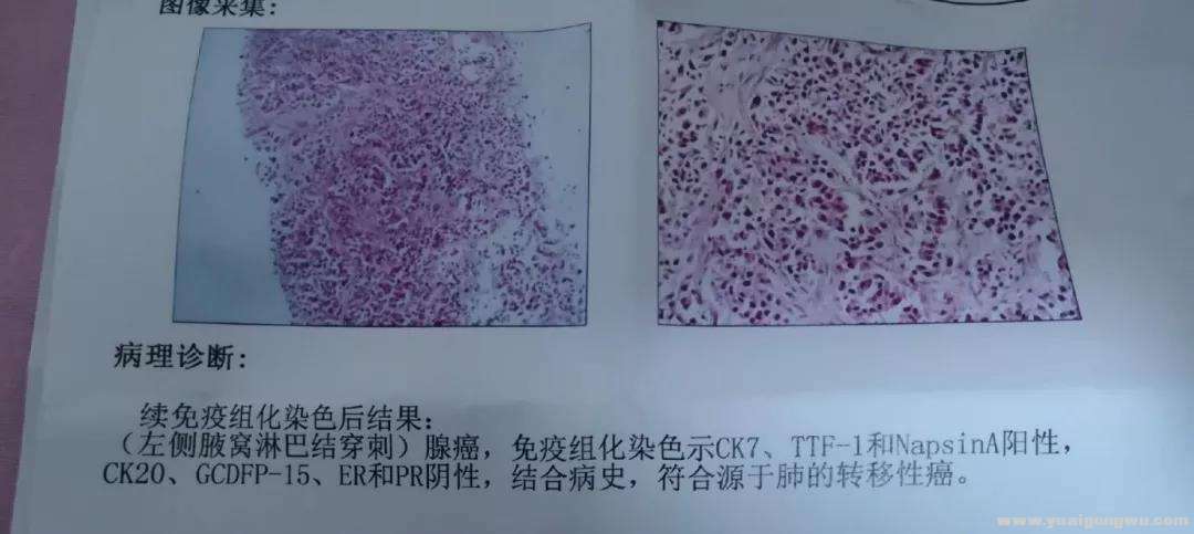 微信图片_20200803093549.jpg