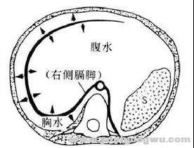 微信图片_20200813175625.jpg