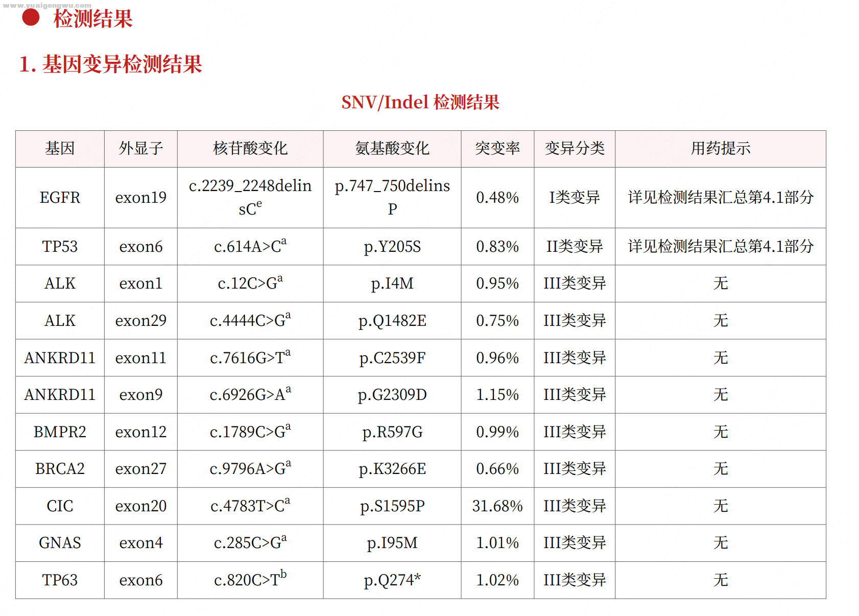 最新基因检测结果