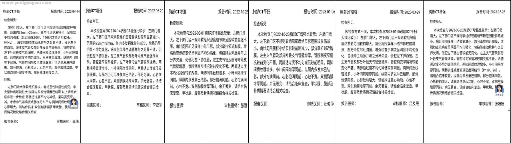 报告